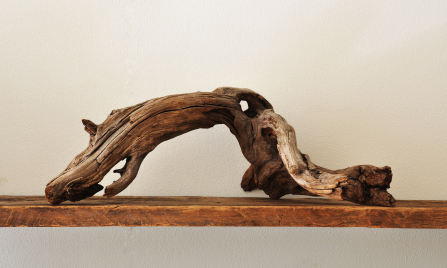 driftwood