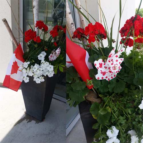 Festive Canadian Planter