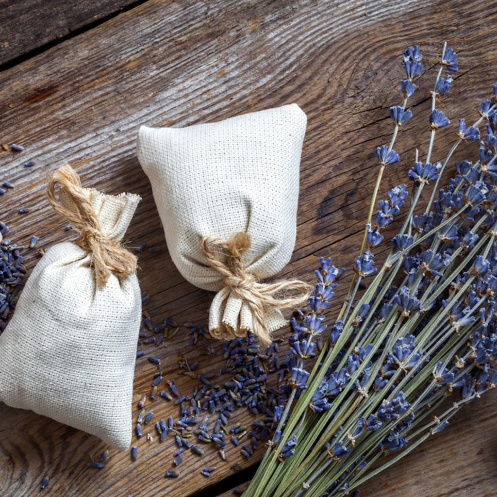 Lavender is the most popular herb suggested for sleep!